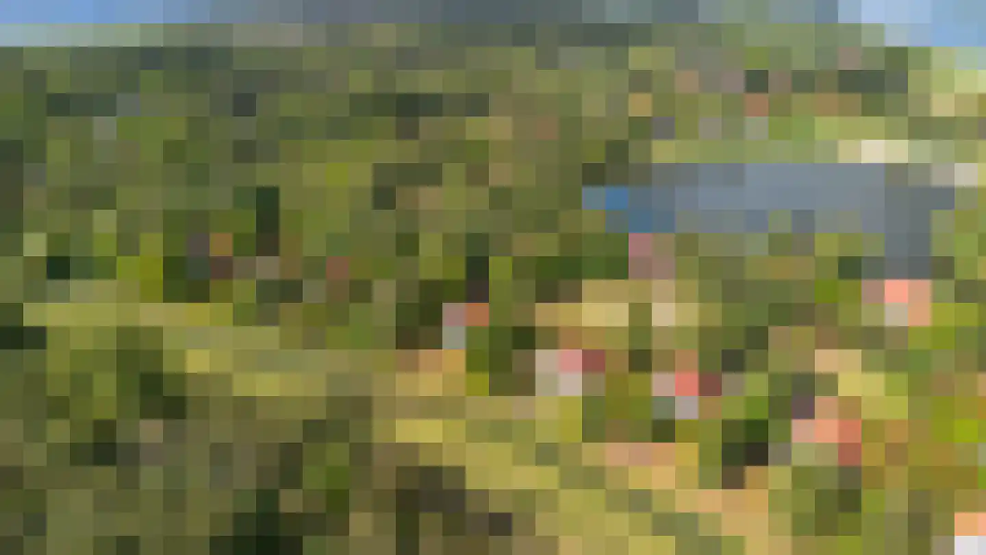 De Rug 3 158 Lauwersoog thumbnail 33