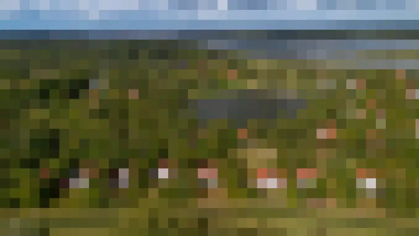 De Rug 3 158 Lauwersoog thumbnail 34