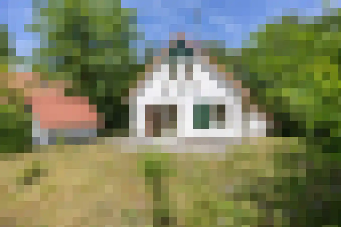 De Rug 3 162 Lauwersoog