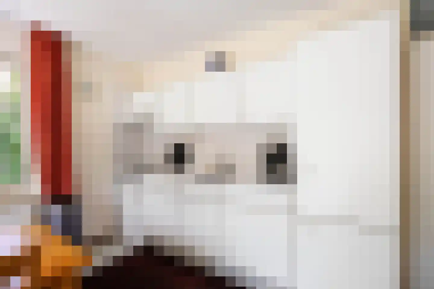 De Rug 3 162 Lauwersoog thumbnail 14