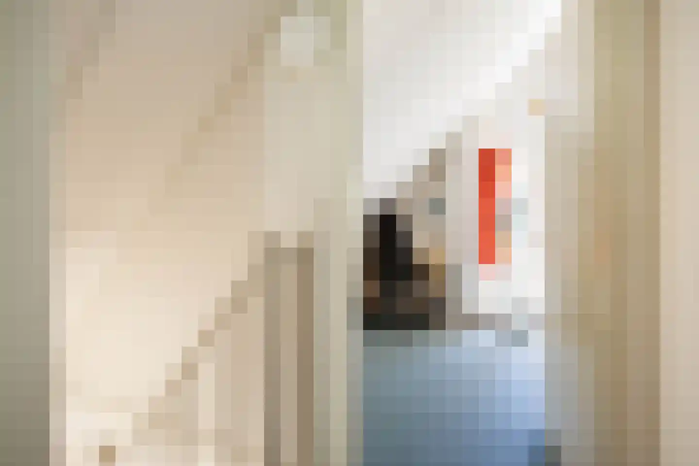 De Rug 3 162 Lauwersoog thumbnail 20