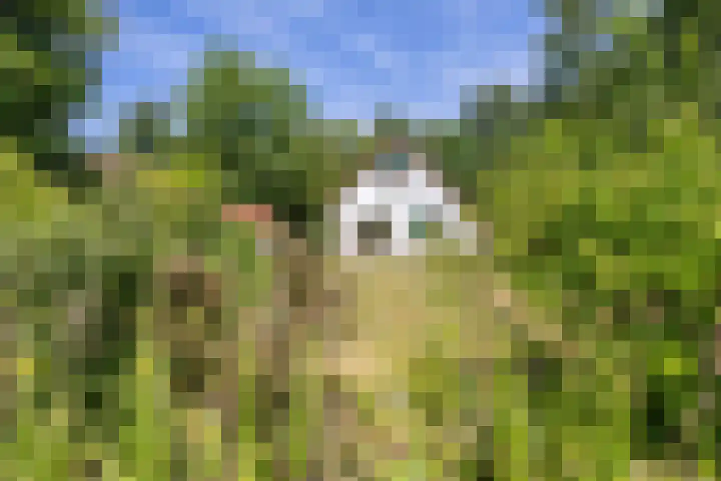 De Rug 3 162 Lauwersoog thumbnail 26