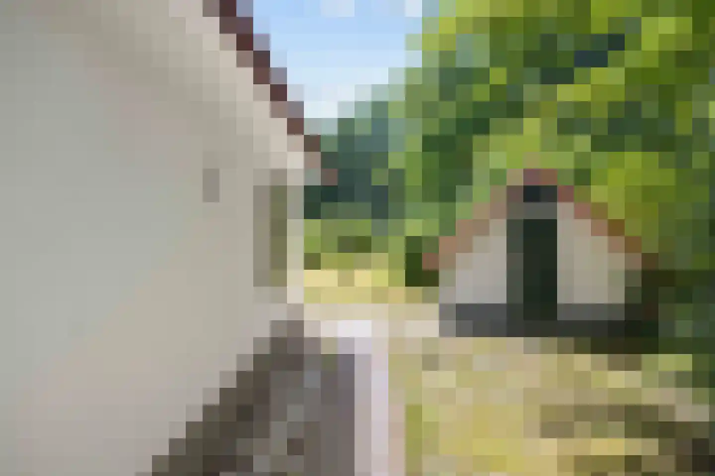 De Rug 3 162 Lauwersoog thumbnail 27