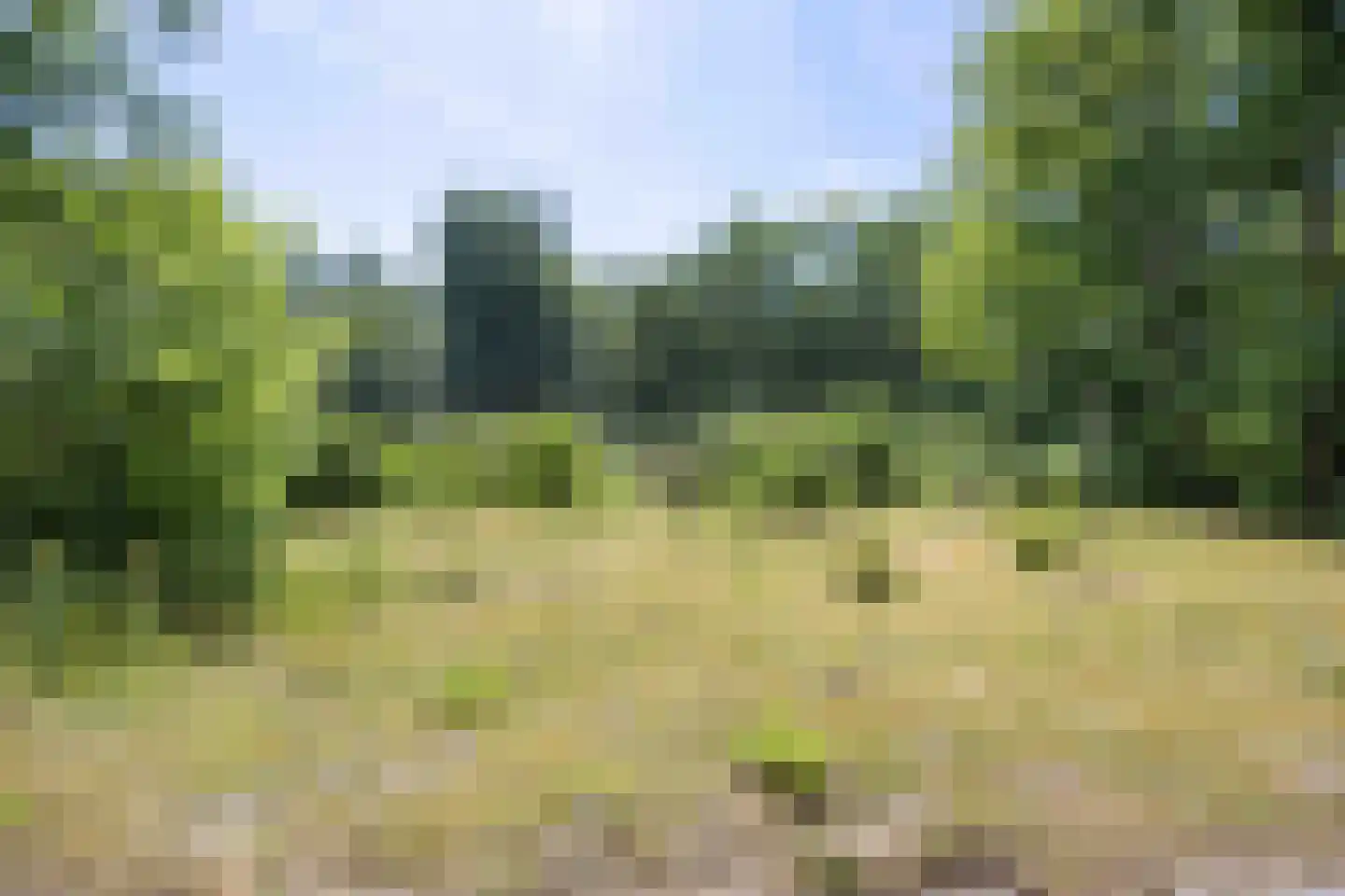 De Rug 3 162 Lauwersoog thumbnail 29