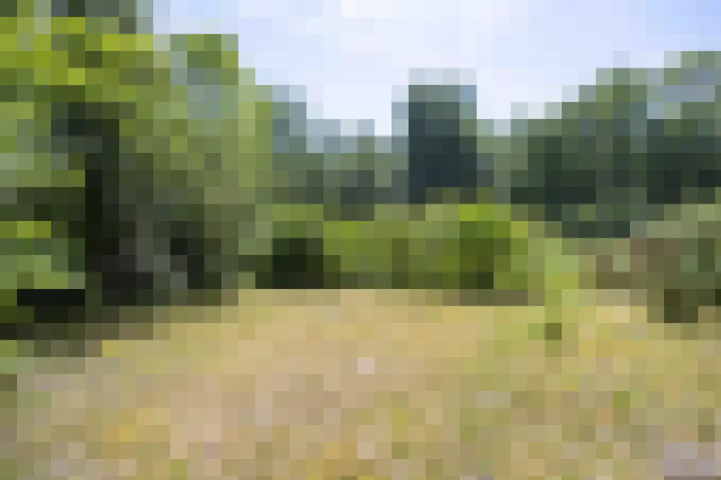 De Rug 3 162 Lauwersoog thumbnail 31