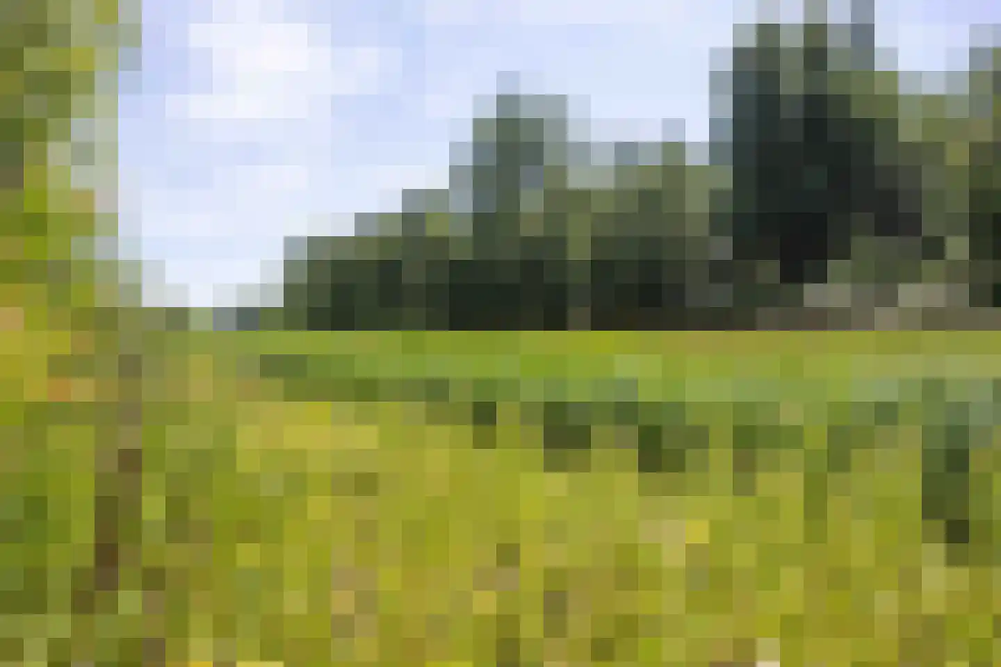 De Rug 3 162 Lauwersoog thumbnail 32