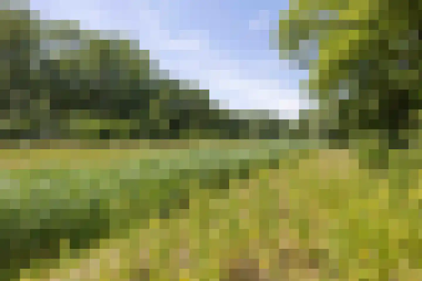 De Rug 3 162 Lauwersoog thumbnail 33
