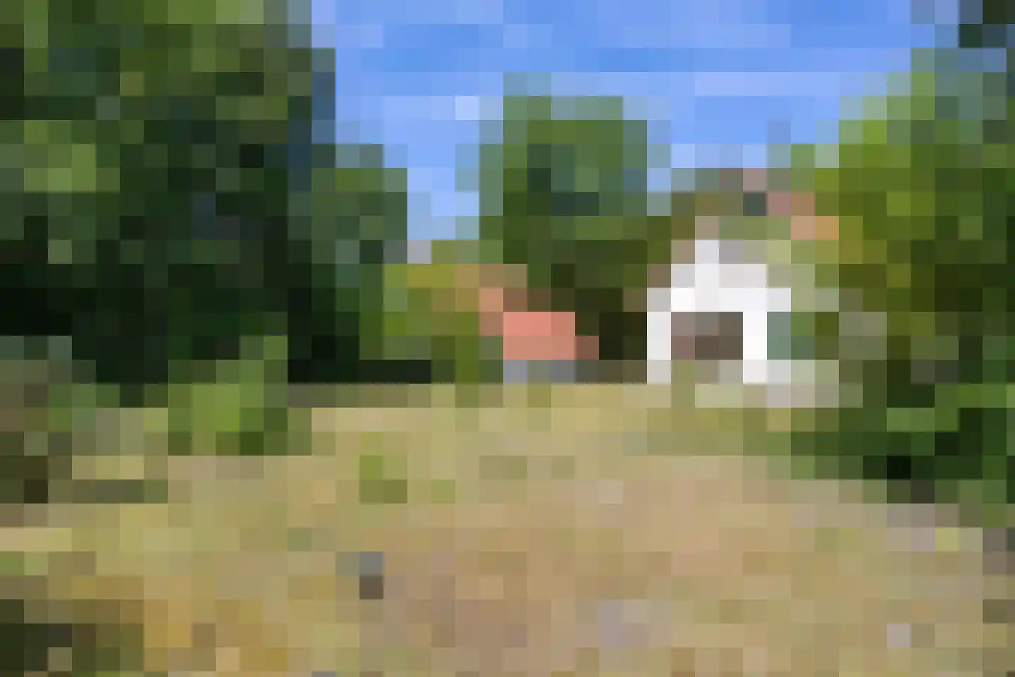 De Rug 3 162 Lauwersoog thumbnail 34