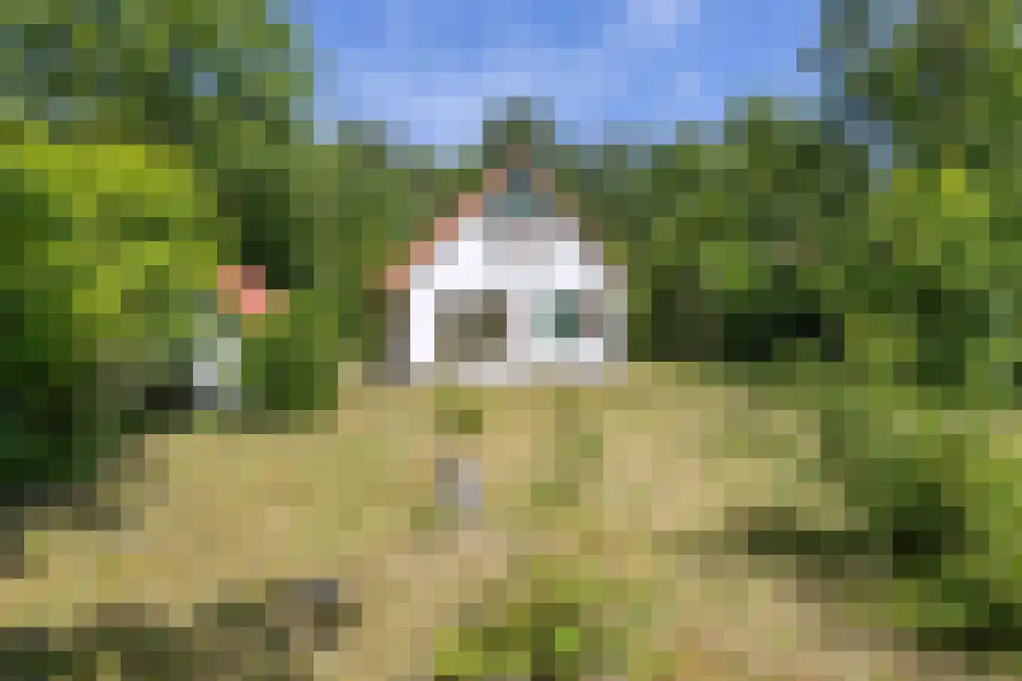 De Rug 3 162 Lauwersoog thumbnail 35