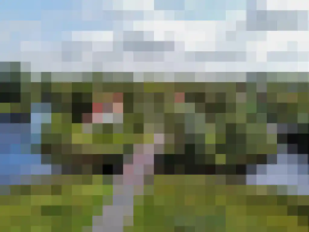 De Rug 3 162 Lauwersoog thumbnail 39
