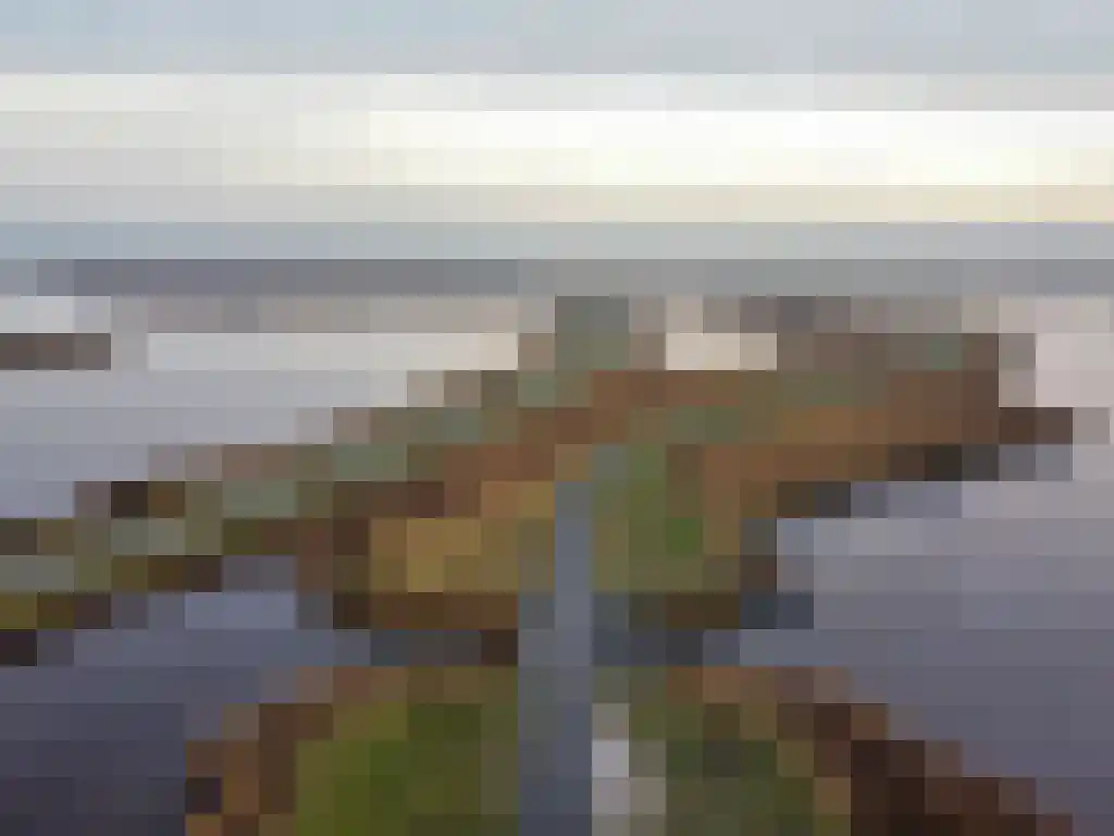 De Rug 3 162 Lauwersoog thumbnail 40