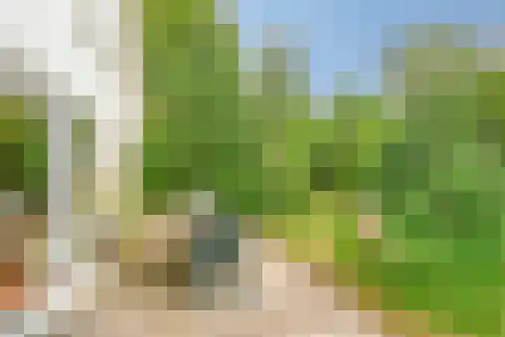 De Rug 3 164 Lauwersoog thumbnail 20