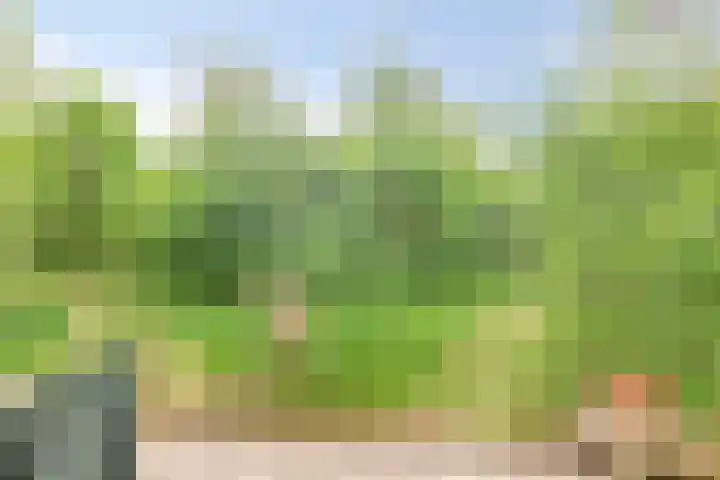De Rug 3 164 Lauwersoog thumbnail 21