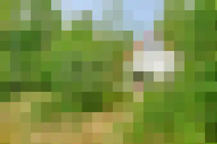 De Rug 3 164 Lauwersoog thumbnail 22