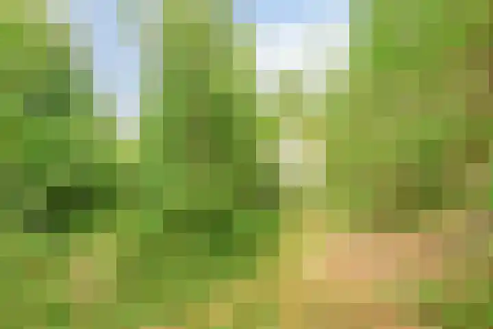 De Rug 3 164 Lauwersoog thumbnail 23