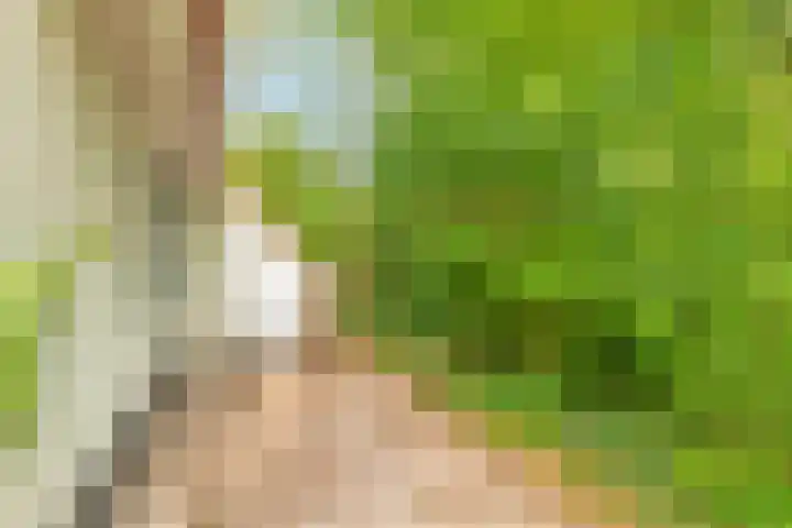 De Rug 3 164 Lauwersoog thumbnail 25