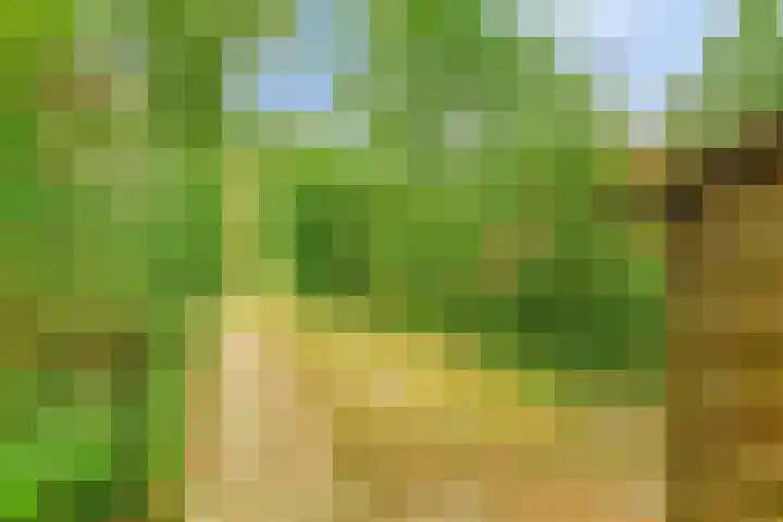 De Rug 3 164 Lauwersoog thumbnail 26
