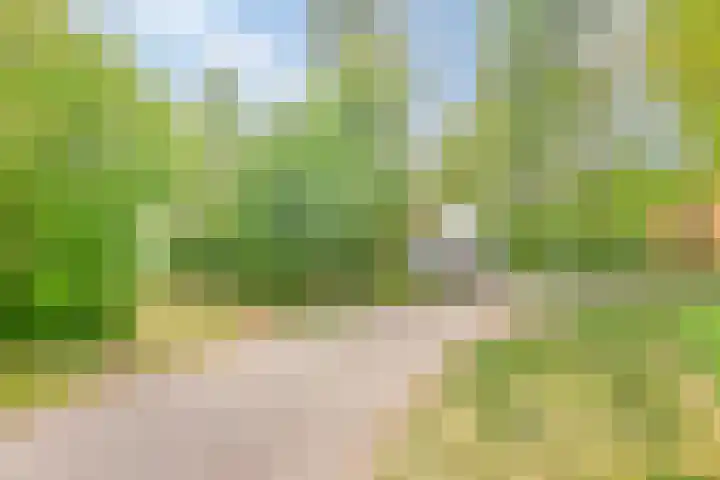 De Rug 3 164 Lauwersoog thumbnail 27