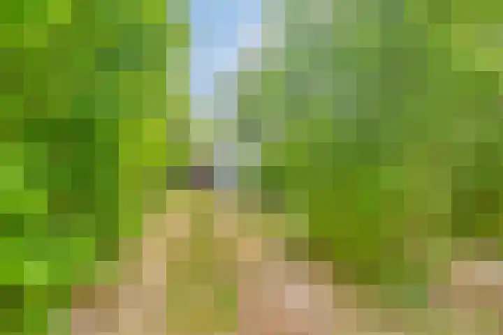De Rug 3 164 Lauwersoog thumbnail 4