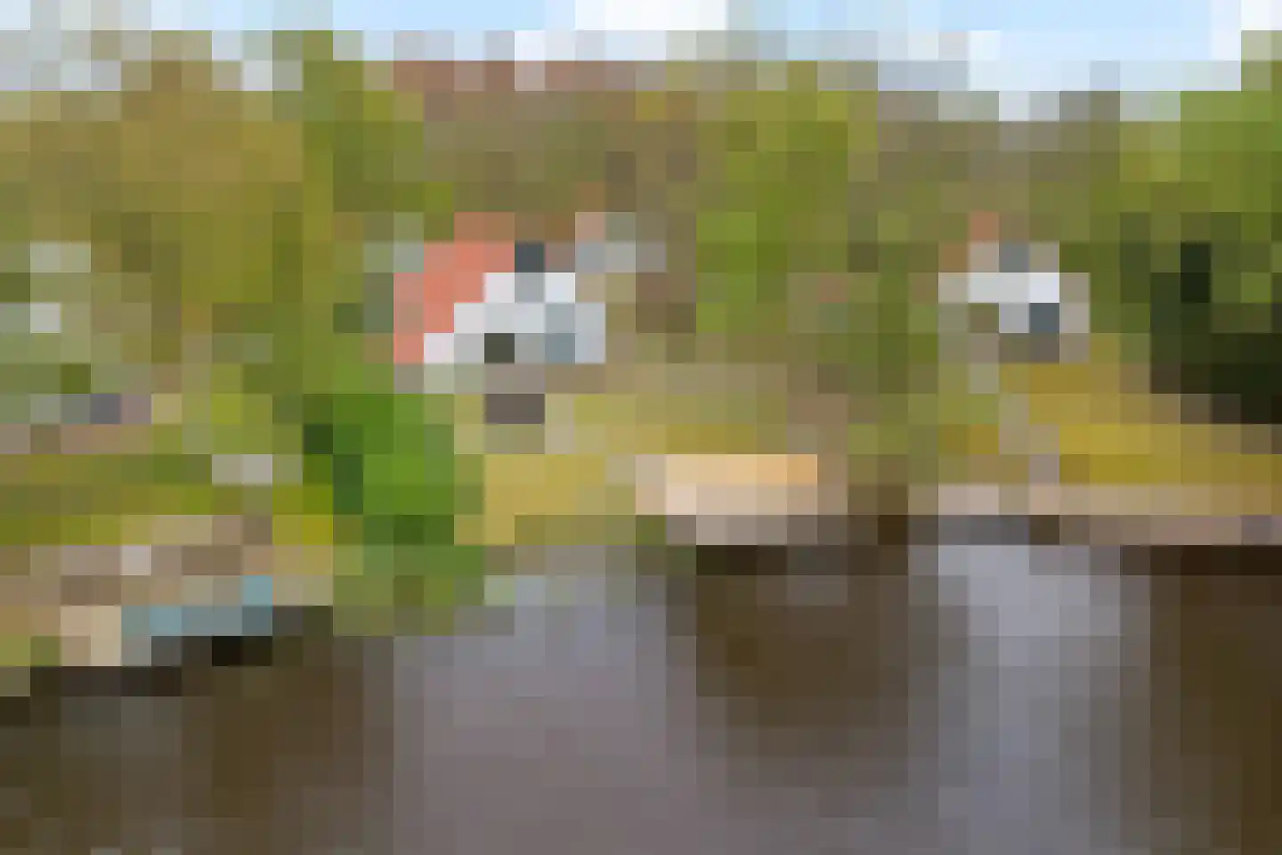 De Rug 3 214 Lauwersoog