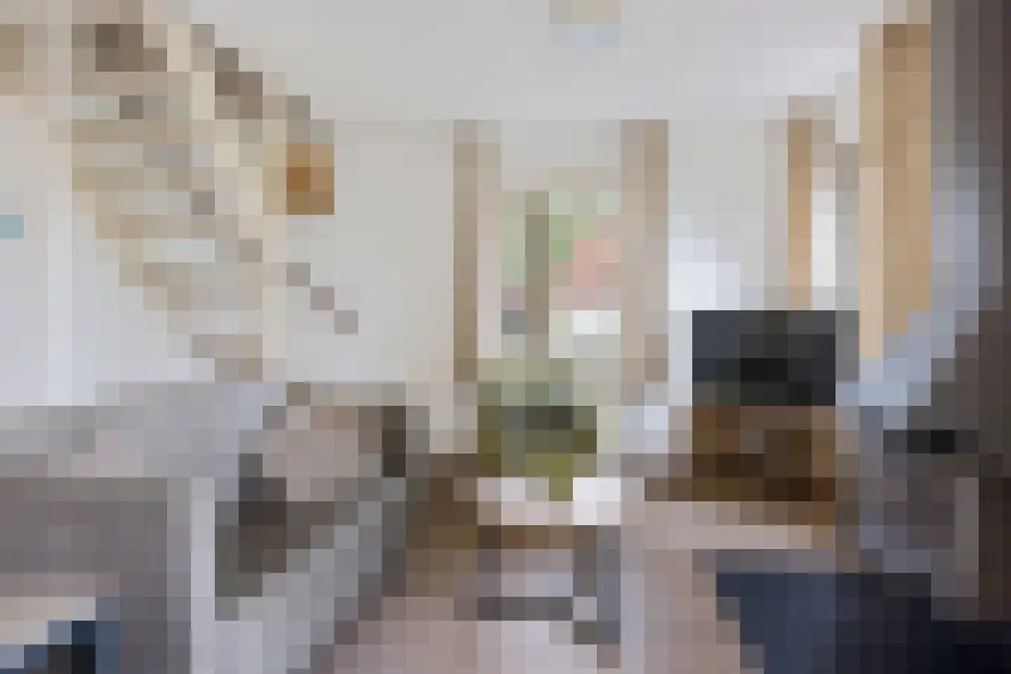 De Rug 3 214 Lauwersoog thumbnail 10
