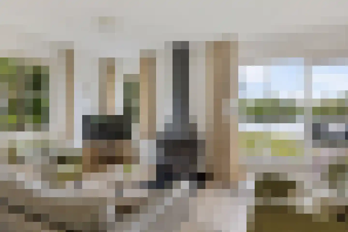 De Rug 3 214 Lauwersoog thumbnail 11