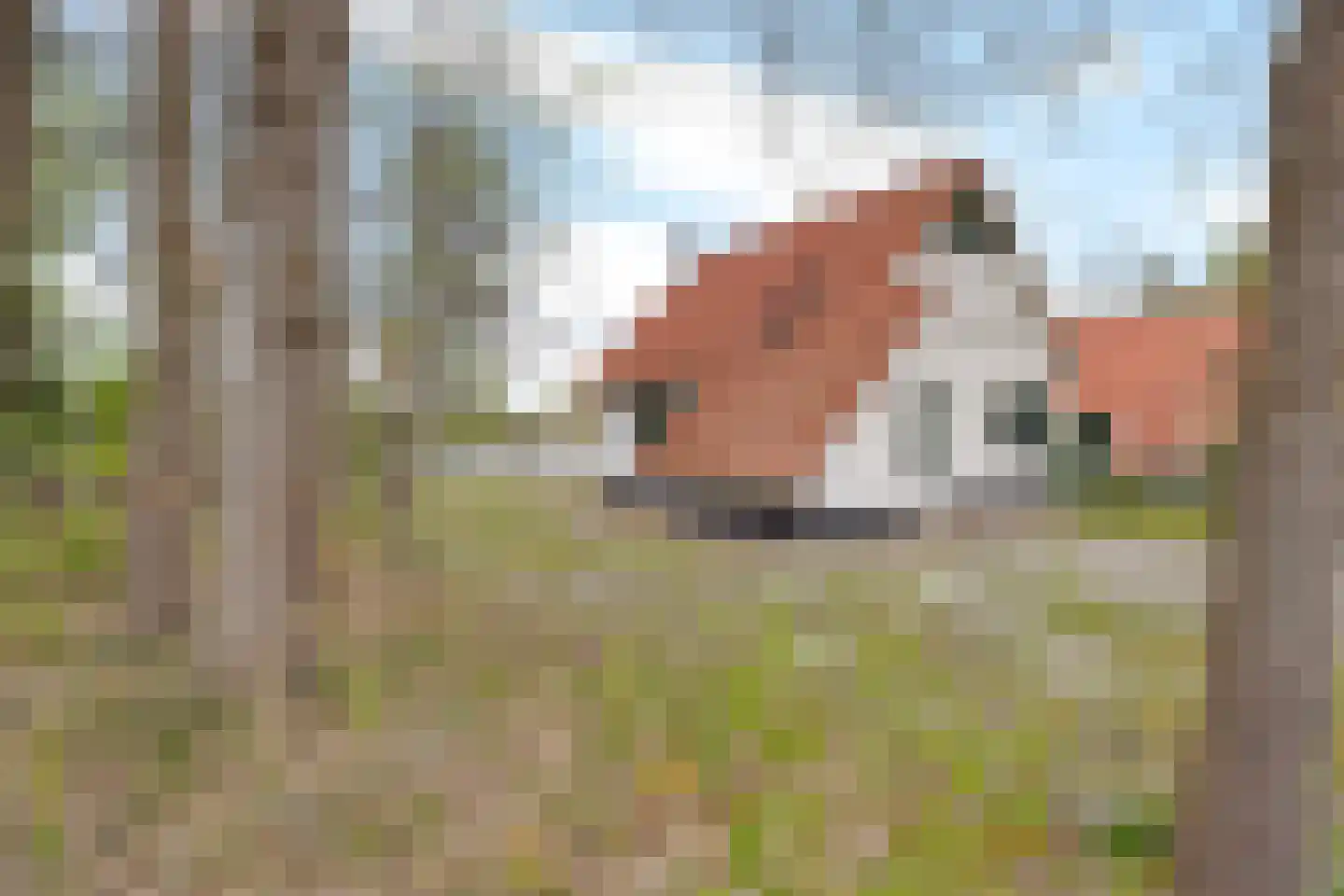 De Rug 3 214 Lauwersoog thumbnail 20