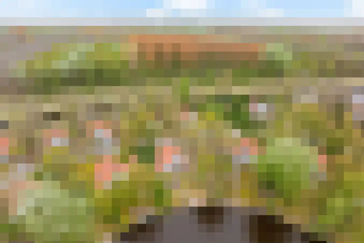 De Rug 3 214 Lauwersoog thumbnail 27