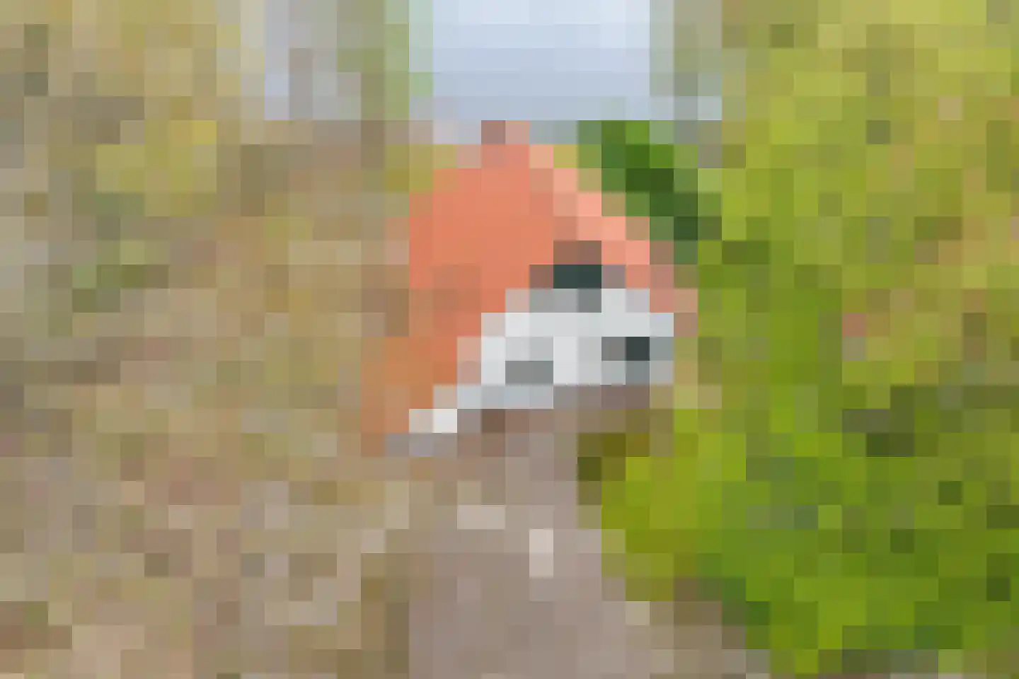 De Rug 3 214 Lauwersoog thumbnail 5