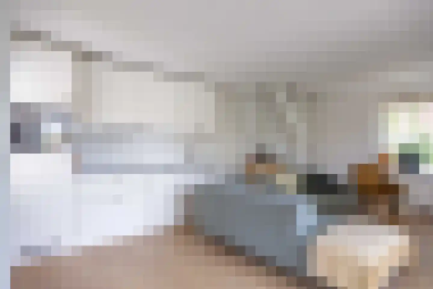 De Rug 3 216 Lauwersoog thumbnail 13