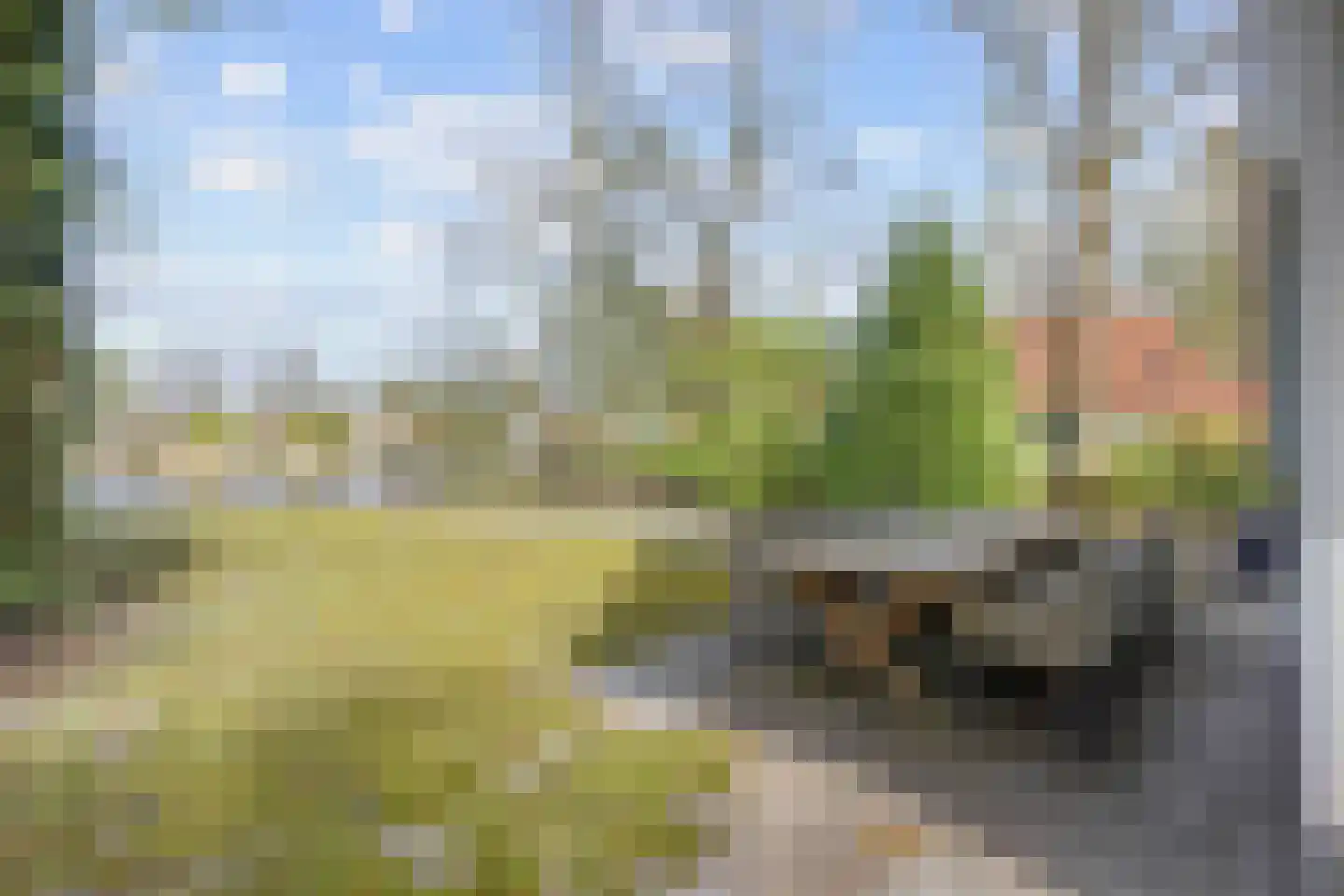 De Rug 3 216 Lauwersoog thumbnail 20