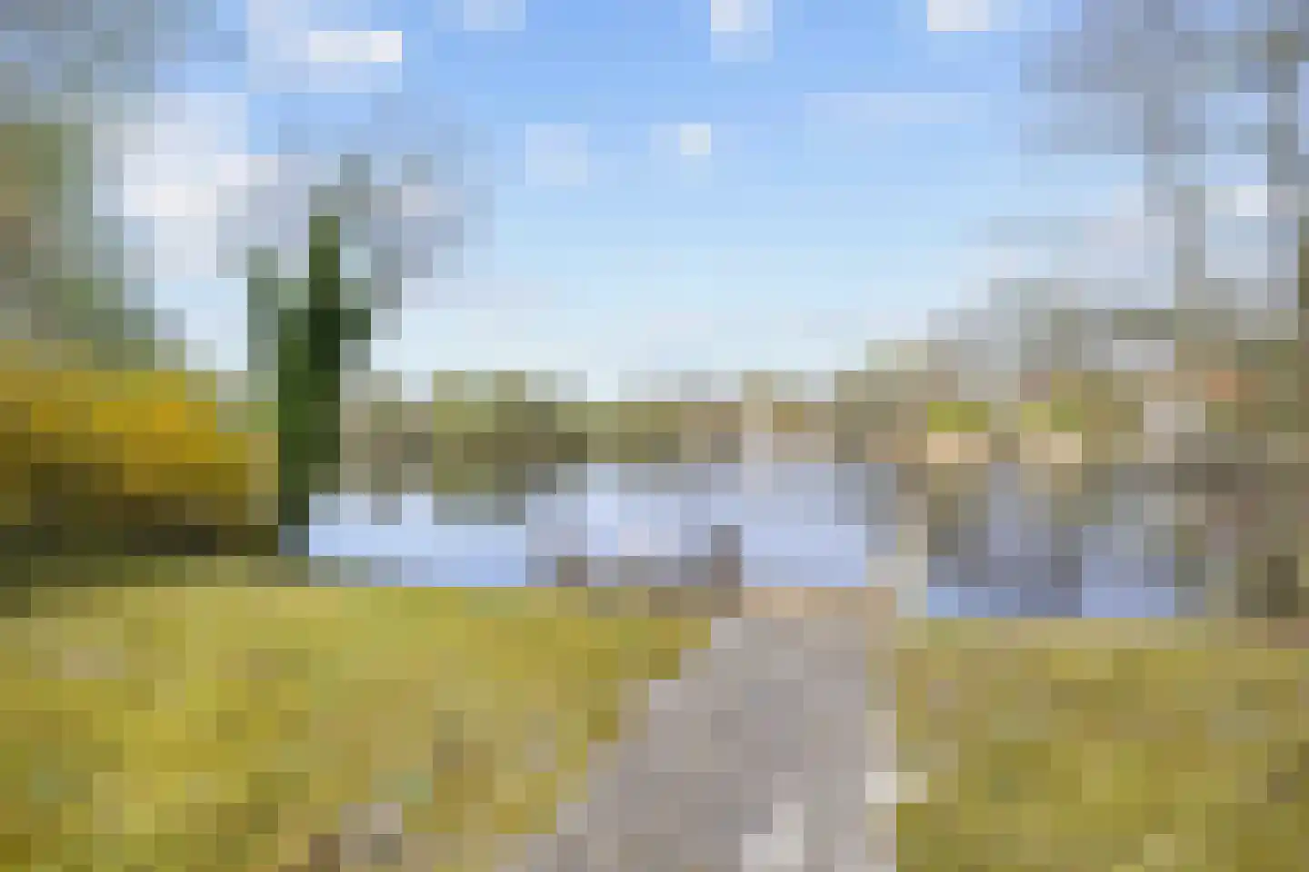 De Rug 3 216 Lauwersoog thumbnail 22