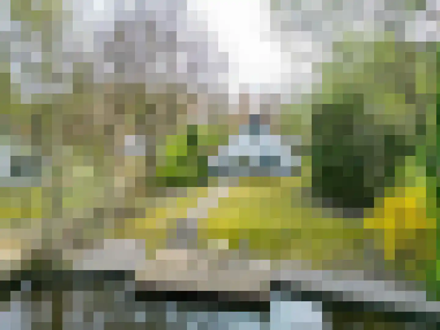De Rug 3 216 Lauwersoog thumbnail 26