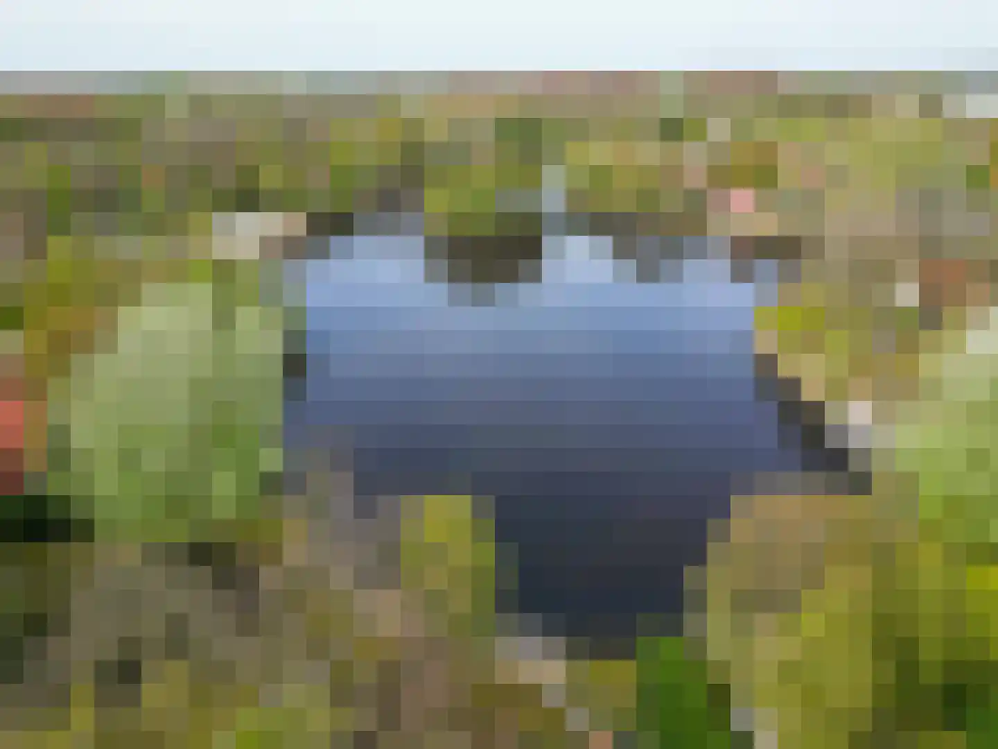 De Rug 3 216 Lauwersoog thumbnail 27