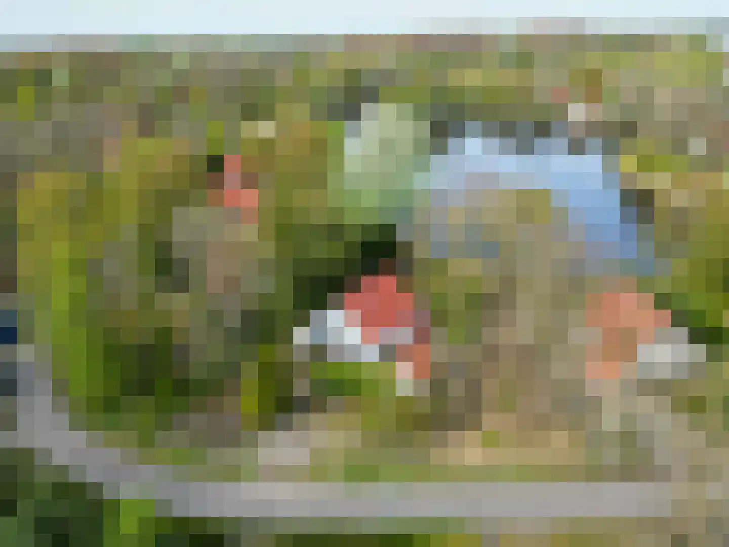 De Rug 3 216 Lauwersoog thumbnail 28