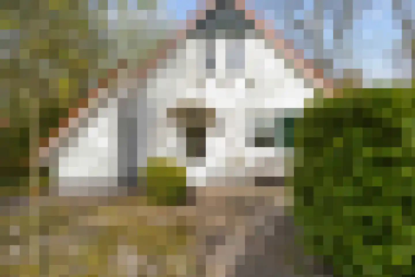 De Rug 3 216 Lauwersoog thumbnail 6