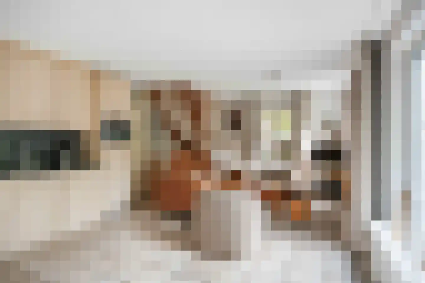 De Rug 3 217 Lauwersoog thumbnail 14
