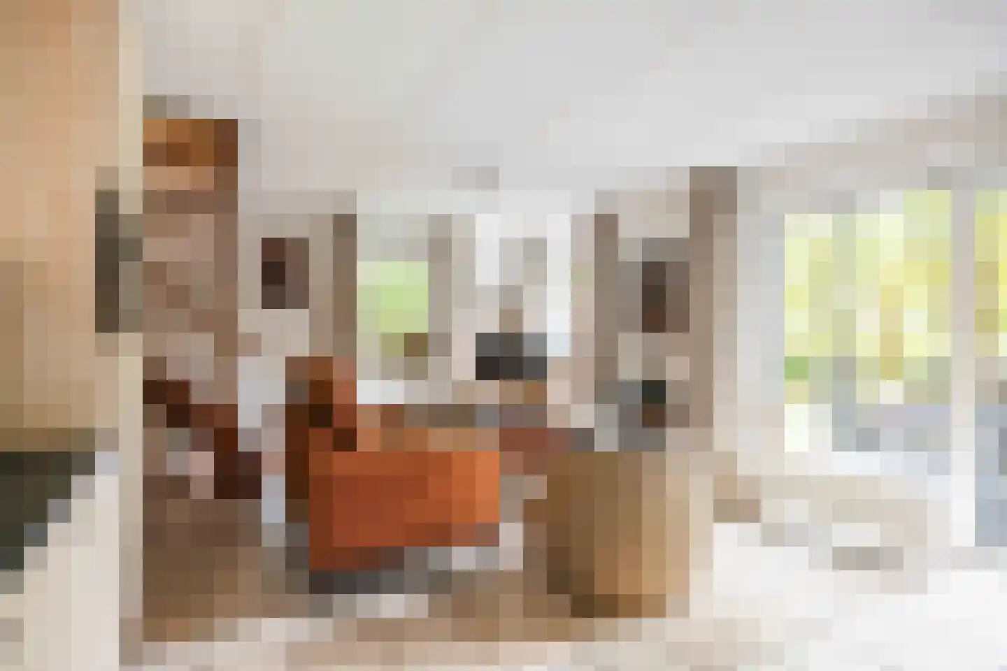 De Rug 3 217 Lauwersoog thumbnail 15