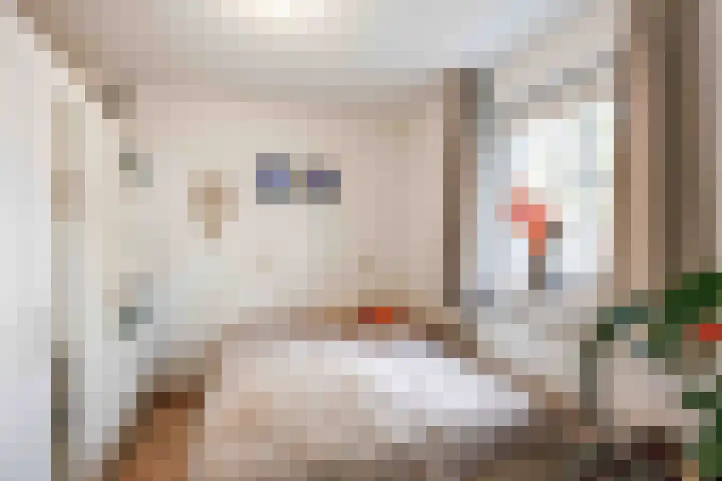 De Rug 3 217 Lauwersoog thumbnail 17