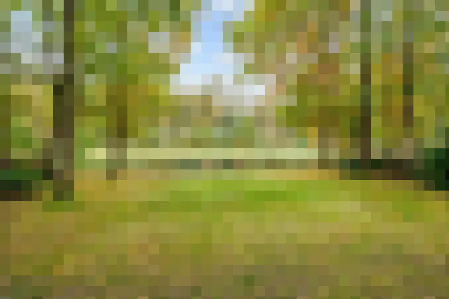 De Rug 3 217 Lauwersoog thumbnail 30