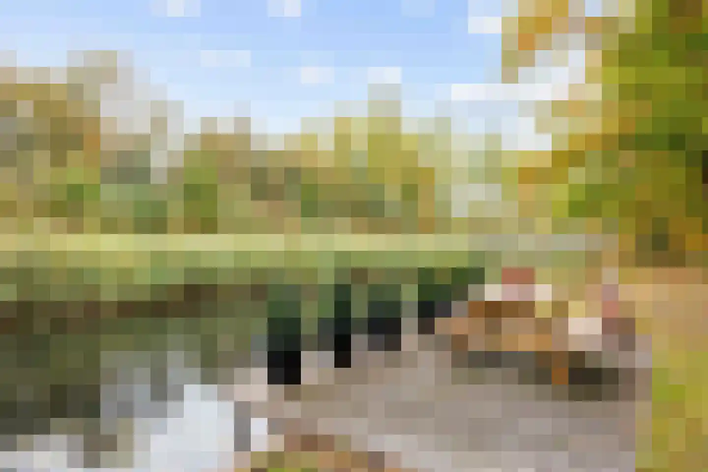 De Rug 3 217 Lauwersoog thumbnail 32