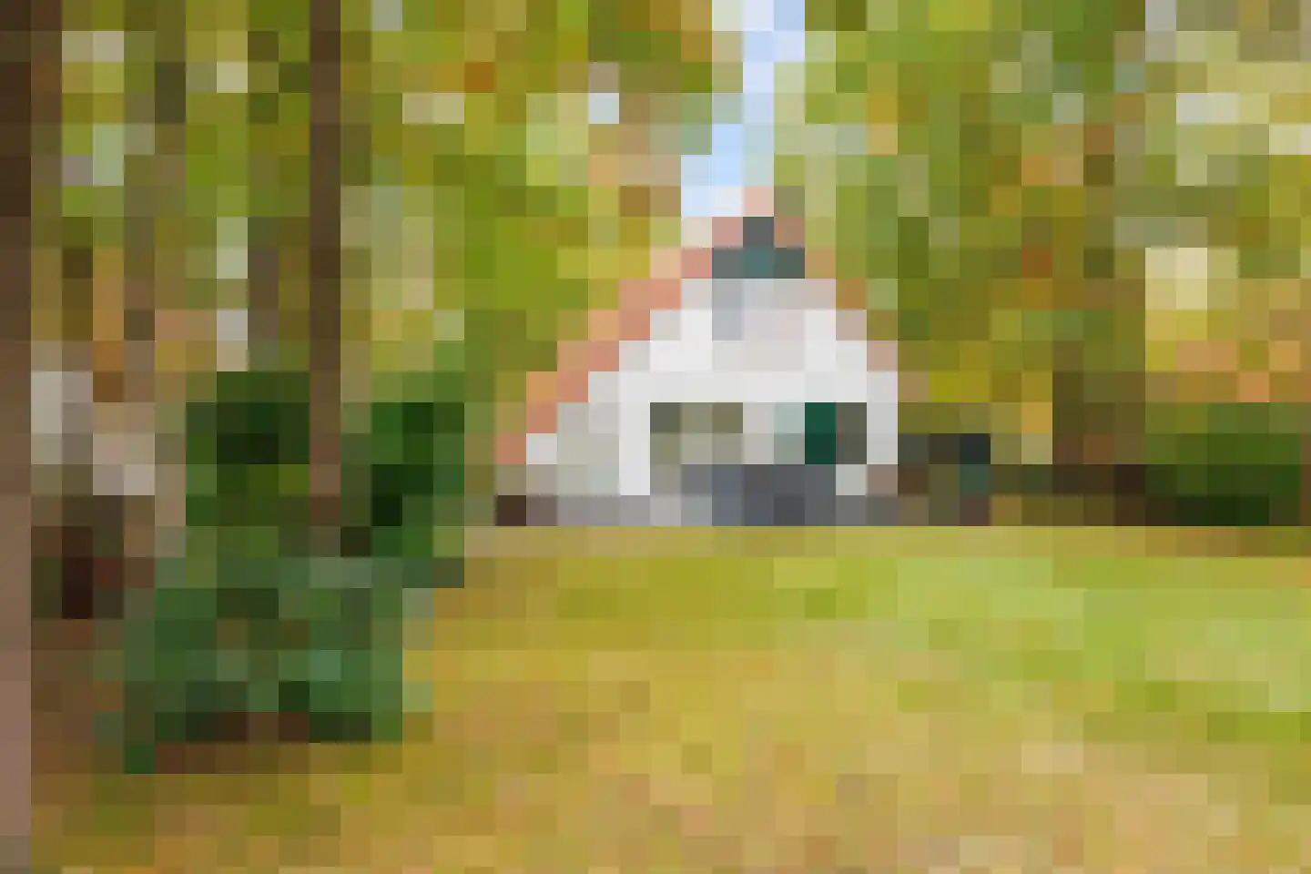 De Rug 3 217 Lauwersoog thumbnail 34