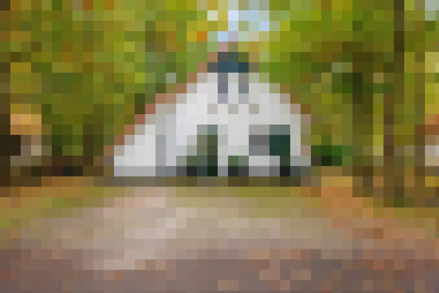 De Rug 3 217 Lauwersoog thumbnail 4