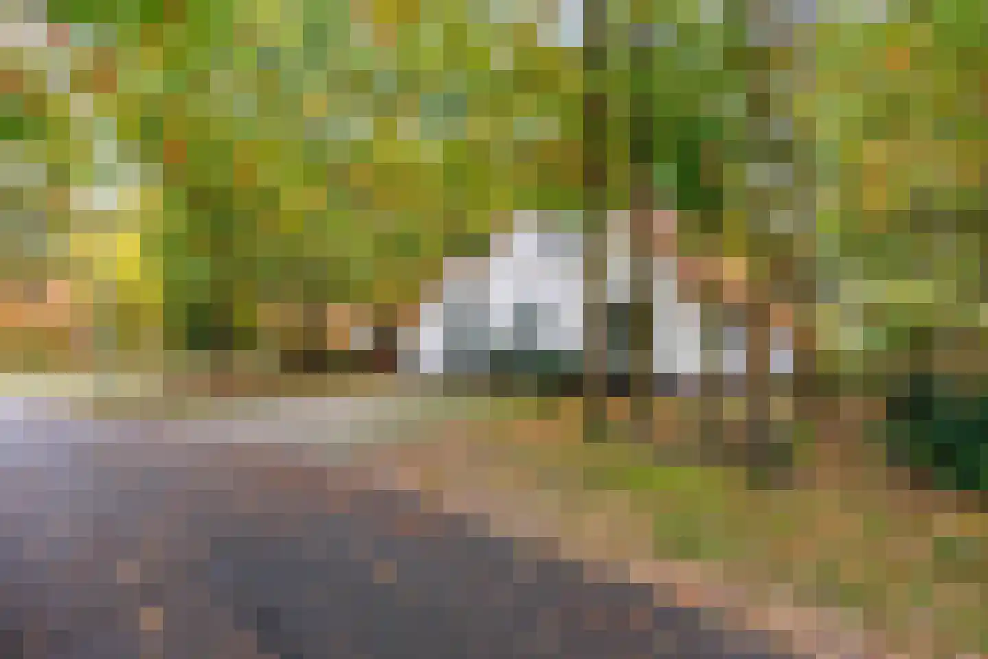 De Rug 3 217 Lauwersoog thumbnail 6