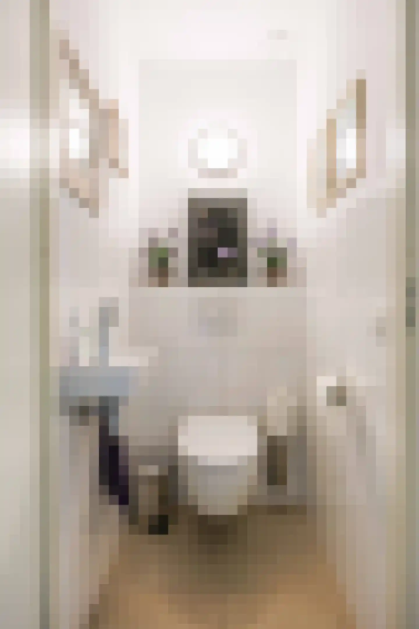 De Rug 3 217 Lauwersoog thumbnail 8
