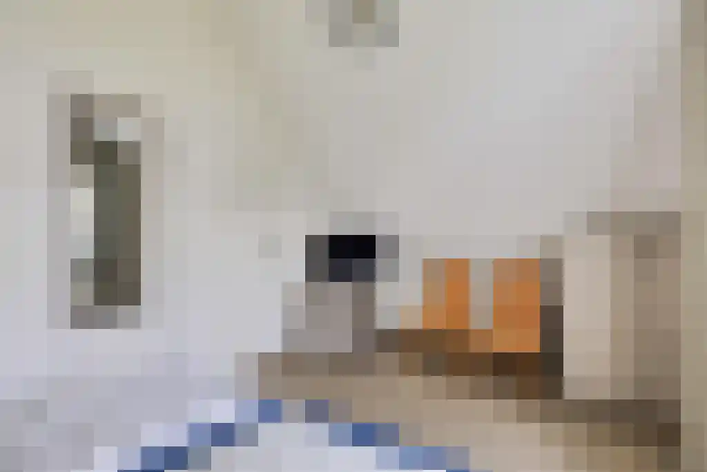 De Rug 3 23 Lauwersoog thumbnail 13