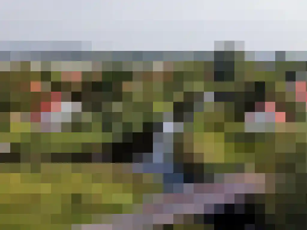 De Rug 3 23 Lauwersoog thumbnail 27