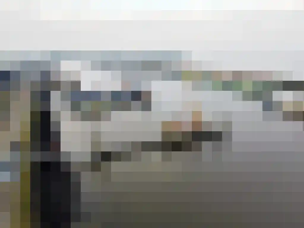De Rug 3 23 Lauwersoog thumbnail 28
