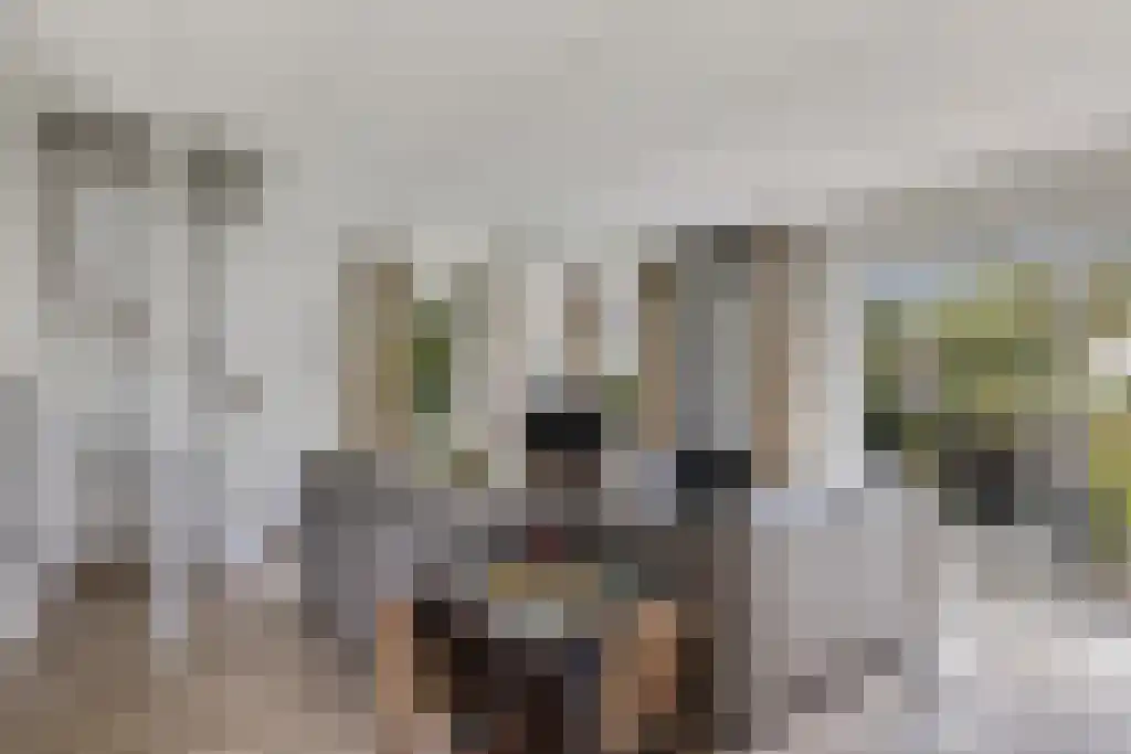 De Rug 3 23 Lauwersoog thumbnail 6