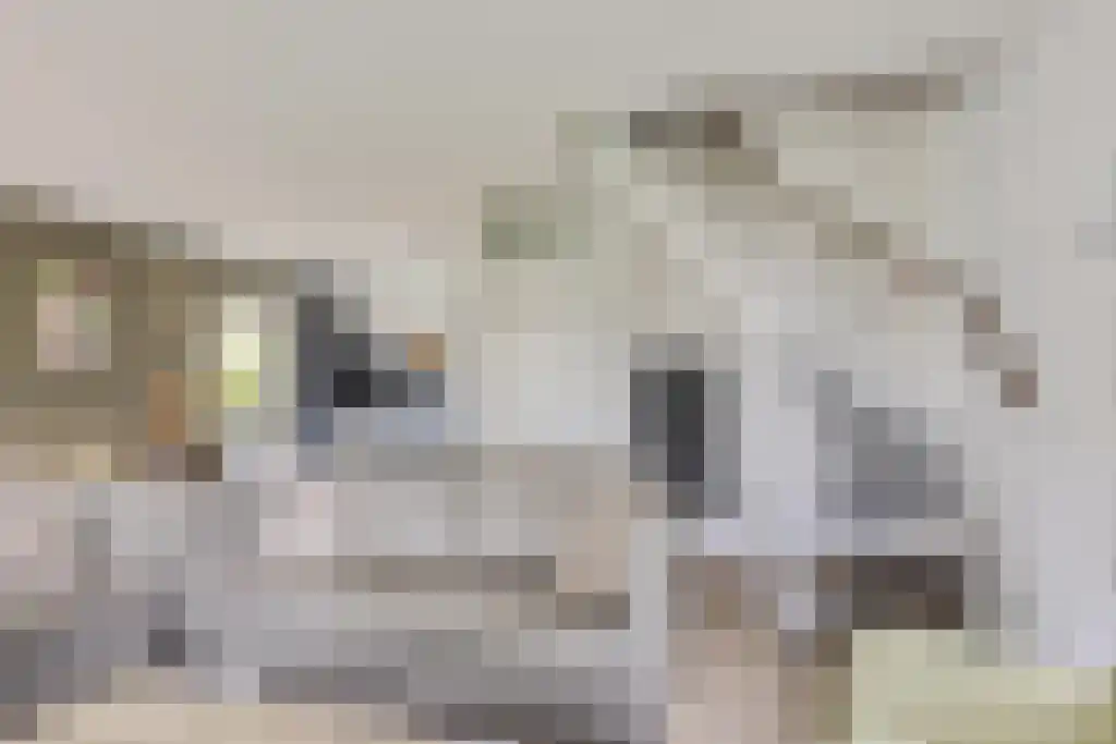 De Rug 3 23 Lauwersoog thumbnail 7